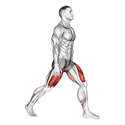 Split Squats animated exercise demonstration