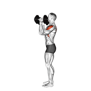 Dumbbell Scott Press animated exercise demonstration