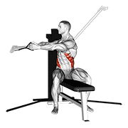 Cable Seated Twist animated exercise demonstration