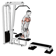 Inverse Leg Curl (On Pull-Up Cable Machine) animated exercise demonstration
