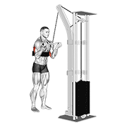 Cable Reverse Grip Triceps Pushdown (Sz-Bar) (With Arm Blaster) animated exercise demonstration