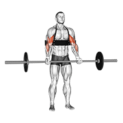 Barbell Biceps Curl (With Arm Blaster) animated exercise demonstration