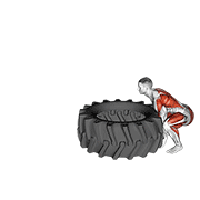 Tire Flip animated exercise demonstration