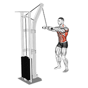 Cable Thibaudeau Kayak Row animated exercise demonstration