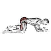 Rocking Frog Stretch animated exercise demonstration