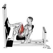 Lever Horizontal One Leg Press animated exercise demonstration