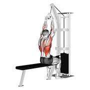 Cable Lateral Pulldown With V-Bar animated exercise demonstration