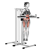 Twisted Leg Raise (Female) animated exercise demonstration