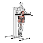 Twisted Leg Raise animated exercise demonstration