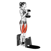 Dumbbell Supported Squat animated exercise demonstration