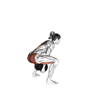 Dumbbell Sumo Pull Through animated exercise demonstration