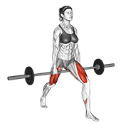 Barbell Split Squat V. 2 animated exercise demonstration
