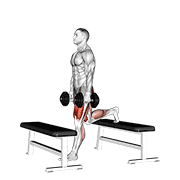 Dumbbell Step-Up Split Squat animated exercise demonstration