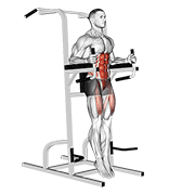 Captains Chair Straight Leg Raise animated exercise demonstration