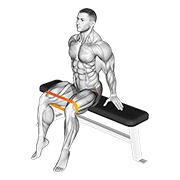 Resistance Band Seated Hip Abduction animated exercise demonstration