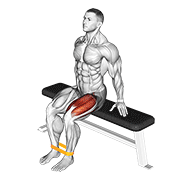 Resistance Band Leg Extension animated exercise demonstration