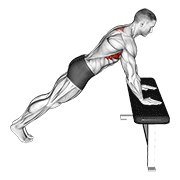 Incline Scapula Push Up animated exercise demonstration