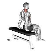 Scapula Dips animated exercise demonstration