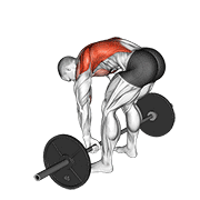 Barbell Pendlay Row animated exercise demonstration