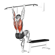 Bench Pull-Ups animated exercise demonstration