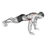 Scapula Push-Up animated exercise demonstration