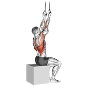 Band Fixed Back Underhand Pulldown animated exercise demonstration