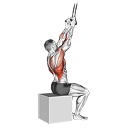 Band Fixed Back Close Grip Pulldown animated exercise demonstration