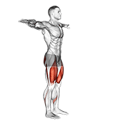 Potty Squat animated exercise demonstration