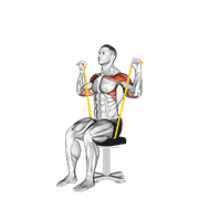 Resistance Band Seated Shoulder Press animated exercise demonstration