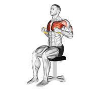 Resistance Band Seated Chest Press animated exercise demonstration