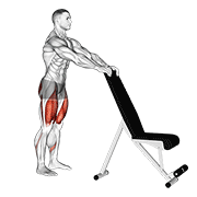 Potty Squat With Support animated exercise demonstration