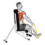 Resistance Band Seated Straight Back Row animated exercise demonstration
