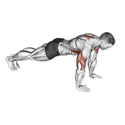 Push-Up Plus animated exercise demonstration