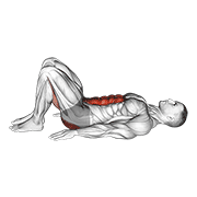 Pelvic Tilt animated exercise demonstration