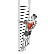 Bodyweight Standing Close-Grip One Arm Row animated exercise demonstration