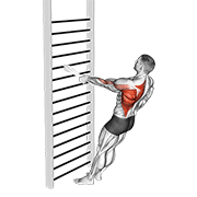 Bodyweight Standing One Arm Row (With Towel) animated exercise demonstration