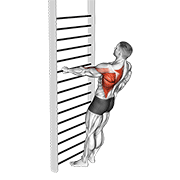 Bodyweight Standing One Arm Row animated exercise demonstration
