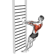 Bodyweight Standing Row (With Towel) animated exercise demonstration