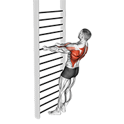 Bodyweight Standing Row animated exercise demonstration