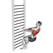 Bodyweight Squatting Row (With Towel) animated exercise demonstration