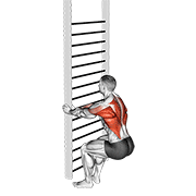 Bodyweight Squatting Row animated exercise demonstration