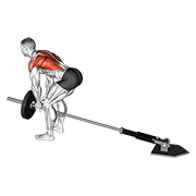 Lever Bent-Over Row With V-Bar animated exercise demonstration