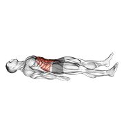 Quarter Sit-Up animated exercise demonstration