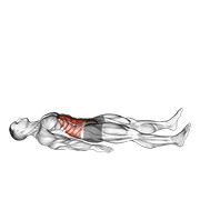 Half Sit-Up (Male) animated exercise demonstration