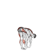 Basic Toe Touch (Male) animated exercise demonstration