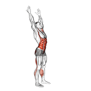 Side-To-Side Toe Touch (Male) animated exercise demonstration