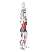 Hands Clasped Circular Toe Touch (Male) animated exercise demonstration
