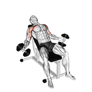 Hyght Dumbbell Fly animated exercise demonstration