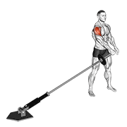 Landmine Lateral Raise animated exercise demonstration