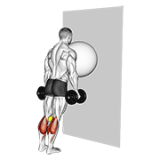 Exercise Ball On The Wall Calf Raise (Tennis Ball Between Knees) animated exercise demonstration